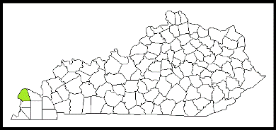 ballard county kentucky fire, fire departments in kentucky county, kentucky county ky fire stations, volunteer fire department, ballard county kentucky, ballard county fire station numbers, ballard county fire jobs, ballard county live dispatch, ballard county fire departments, ballard county ems, ballard county ambulance, ballard county kentucky firefighters