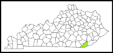 bell county kentucky fire, fire departments in kentucky county, kentucky county ky fire stations, volunteer fire department, bell county kentucky, bell county fire station numbers, bell county fire jobs, bell county live dispatch, bell county fire departments, bell county ems, bell county ambulance, bell county kentucky firefighters