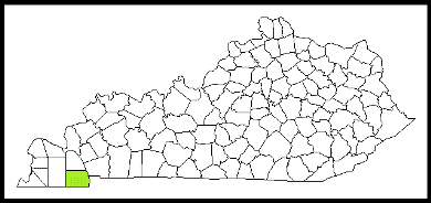 calloway county kentucky fire, fire departments in kentucky county, kentucky county ky fire stations, volunteer fire department, calloway county kentucky, calloway county fire station numbers, calloway county fire jobs, calloway county live dispatch, calloway county fire departments, calloway county ems, calloway county ambulance, calloway county kentucky firefighters
