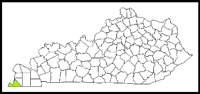 fulton county kentucky fire, fire departments in kentucky county, kentucky county ky fire stations, volunteer fire department, fulton county kentucky, fulton county fire station numbers, fulton county fire jobs, fulton county live dispatch, fulton county fire departments, fulton county ems, fulton county ambulance, fulton county kentucky firefighters