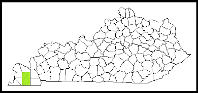 graves county kentucky fire, fire departments in kentucky county, kentucky county ky fire stations, volunteer fire department, graves county kentucky, graves county fire station numbers, graves county fire jobs, graves county live dispatch, graves county fire departments, graves county ems, graves county ambulance, graves county kentucky firefighters