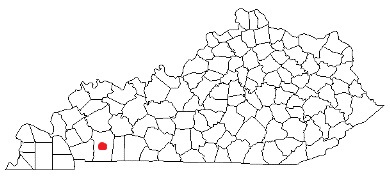 city of hopkinsville kentucky fire, fire departments in city of hopkinsville, city of hopkinsville ky fire stations, city of hopkinsville kentucky, city of hopkinsville fire station numbers, city of hopkinsville fire jobs, city of hopkinsville live dispatch, city of hopkinsville fire departments, city of hopkinsville ems, city of hopkinsville ambulance, city of hopkinsville kentucky firefighters