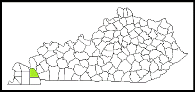 marshall county kentucky fire, fire departments in kentucky county, kentucky county ky fire stations, volunteer fire department, marshall county kentucky, marshall county fire station numbers, marshall county fire jobs, marshall county live dispatch, marshall county fire departments, marshall county ems, marshall county ambulance, marshall county kentucky firefighters