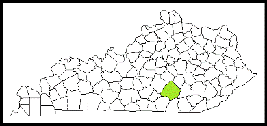 pulaski county kentucky fire, fire departments in kentucky county, kentucky county ky fire stations, volunteer fire department, pulaski county kentucky, pulaski county fire station numbers, pulaski county fire jobs, pulaski county live dispatch, pulaski county fire departments, pulaski county ems, pulaski county ambulance, pulaski county kentucky firefighters
