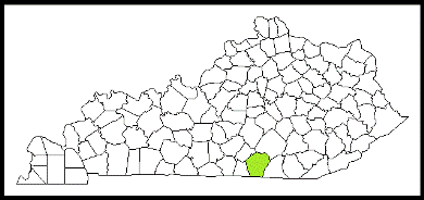 wayne county kentucky fire, fire departments in kentucky county, kentucky county ky fire stations, volunteer fire department, wayne county kentucky, wayne county fire station numbers, wayne county fire jobs, wayne county live dispatch, wayne county fire departments, wayne county ems, wayne county ambulance, wayne county kentucky firefighters