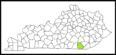 whitley county kentucky fire, fire departments in kentucky county, kentucky county ky fire stations, volunteer fire department, whitley county kentucky, whitley county fire station numbers, whitley county fire jobs, whitley county live dispatch, whitley county fire departments, whitley county ems, whitley county ambulance, whitley county kentucky firefighters