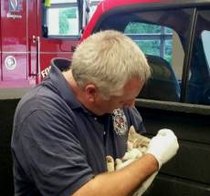 photo by Fort Mitchell Fire Department