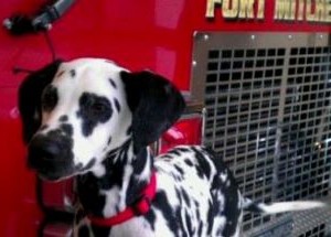 photo by Fort Mitchell Fire Department