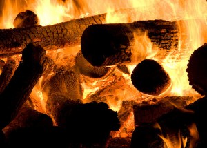 photo by Hubert Kirchgaessner