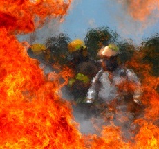 photo by Jim Robertson