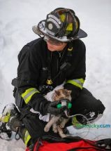 photo by Mark Cornelison