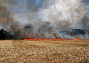 photo by Karen Bonsell