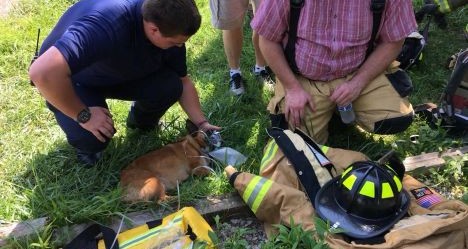 photo by Salt Lick Fire Rescue